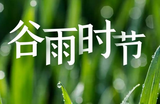 飛雁電纜丨春夏之交，雨生百谷~