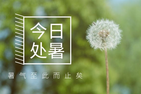 【衡陽(yáng)通用電纜】處暑不是暑，秋涼知我意